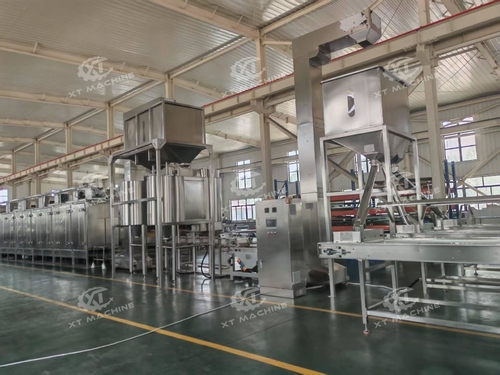 Linha de Torrefação e Branqueamento de Amendoim 2000-3000kg/h enviada para o Egito