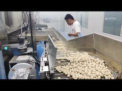 Balanço revestido elétrico Oven Coated Peanut Roastr 100KG/h do amendoim