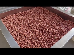 Controle PLC Nozes contínuas Forno Nozes contínuas torrefação Secador/Toque