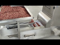 Transportador Elevador Tipo Z