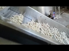 Máquina de fritura contínua