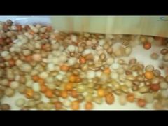 Linha de Produção de Revestimento e Torrefação