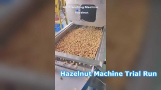O vídeo de teste da máquina de avelã está aqui! A escolha perfeita para fábricas de processamento de alimentos. #máquina