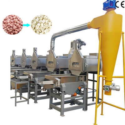 Bom preço. 500-1000 kg/h SUS304 Máquina de blanqueamento de amendoim dividida Máquina de descascar amendoim para processamento de nozes on-line