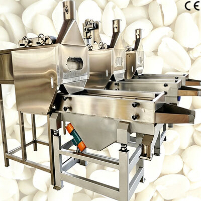 Máquina de branqueamento de amendoins partidos, equipamento preciso de corte e branqueamento para processamento de amendoins